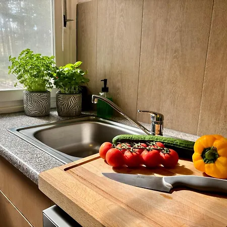 Bungalow-jessern Im Gruenen Mit Seeblick 펜션