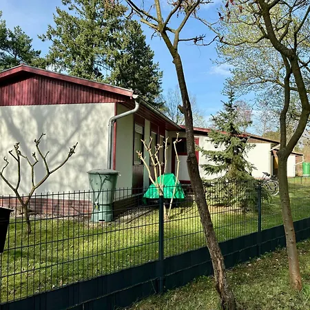 Bungalow-jessern Im Gruenen Mit Seeblick