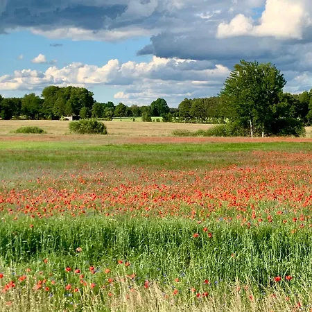 Bungalow-jessern Im Gruenen Mit Seeblick