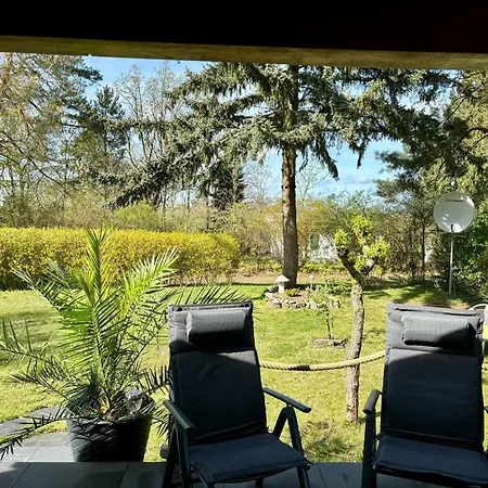 Bungalow-jessern Im Gruenen Mit Seeblick Schwielochsee