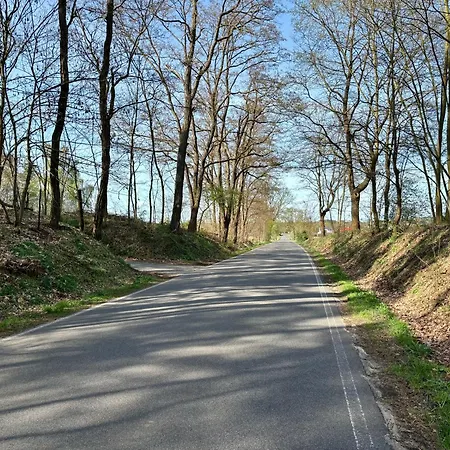 펜션 Bungalow-jessern Im Gruenen Mit Seeblick 슈빌록제