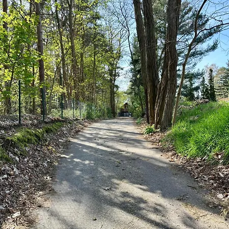 Bungalow-jessern Im Gruenen Mit Seeblick 펜션 슈빌록제