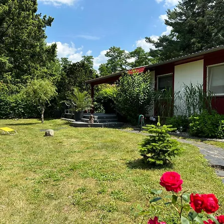 Bungalow-jessern Im Gruenen Mit Seeblick