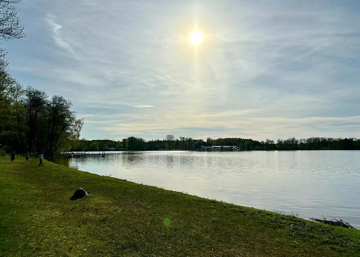 Feriehus Bungalow-jessern Im Gruenen Mit Seeblick Schwielochsee