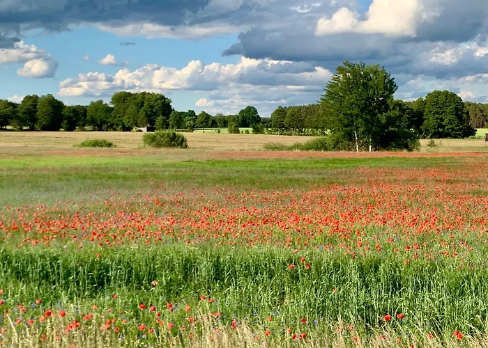 Bungalow-jessern Im Gruenen Mit Seeblick