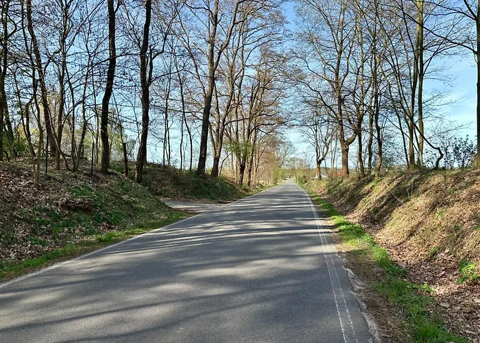 Feriehus Bungalow-jessern Im Gruenen Mit Seeblick Schwielochsee