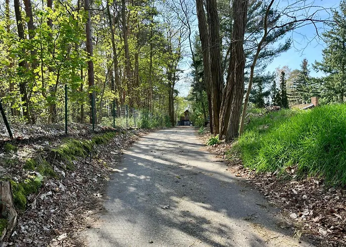 Bungalow-jessern Im Gruenen Mit Seeblick Feriehus Schwielochsee